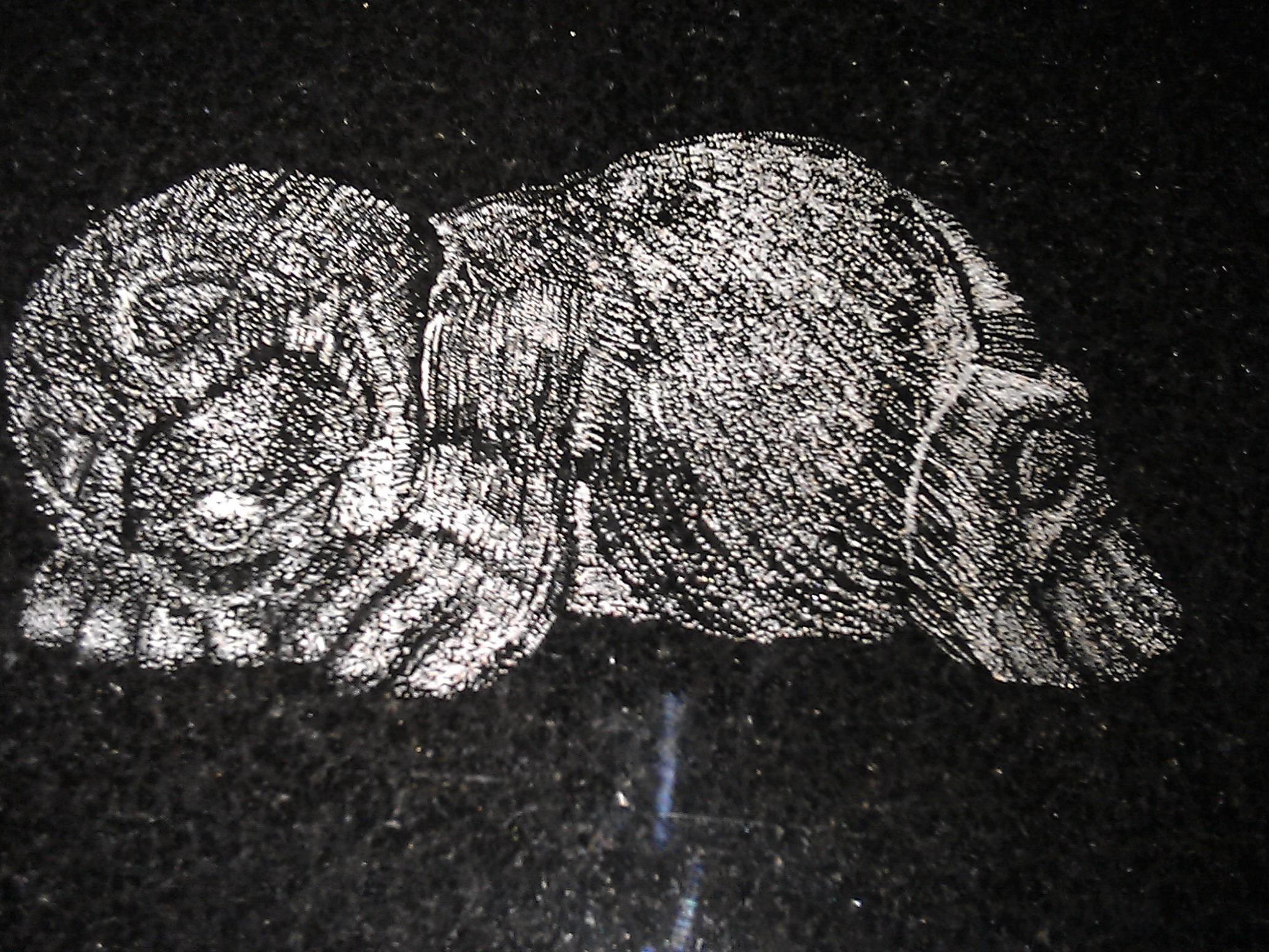 Mole 3