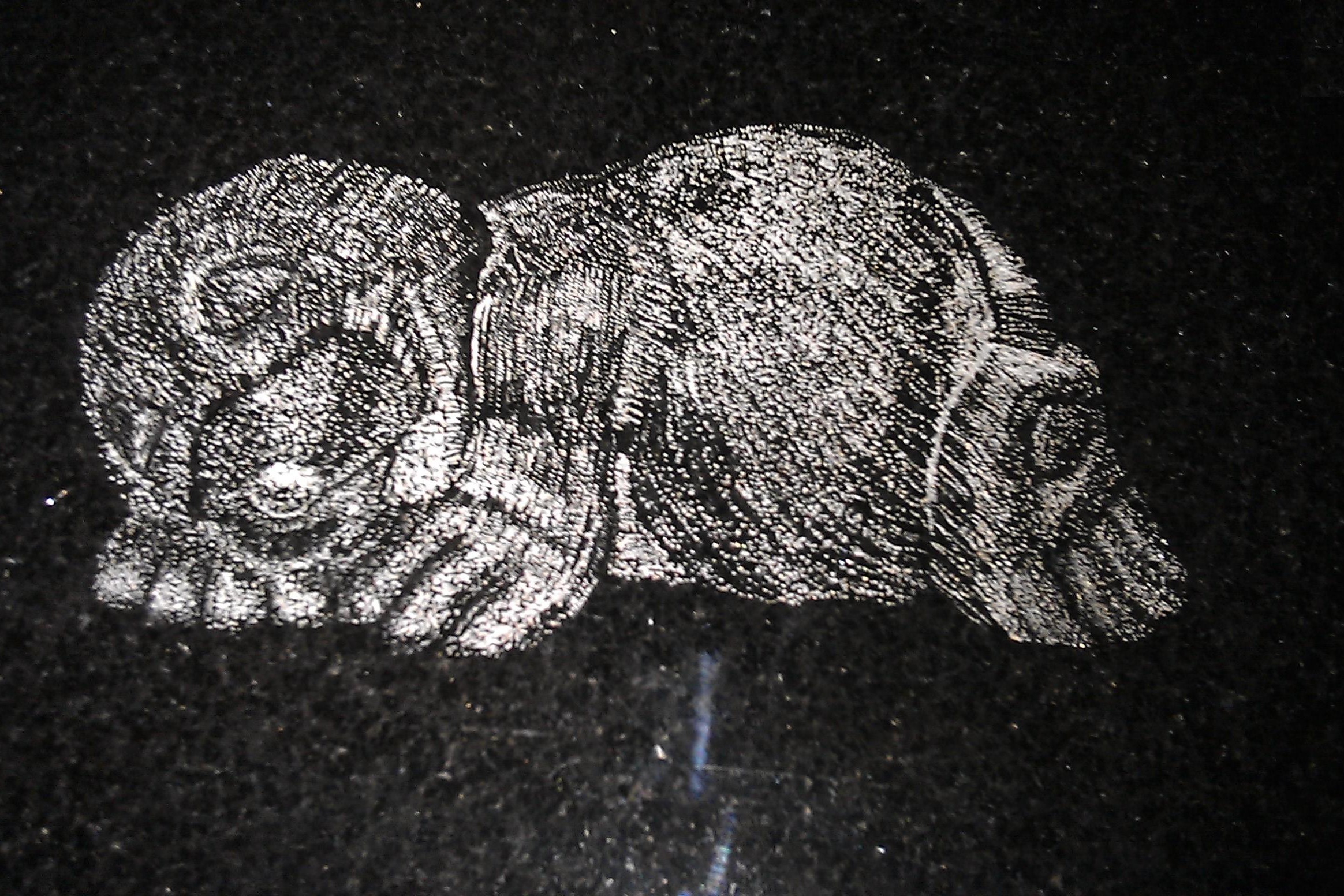 Mole 3
