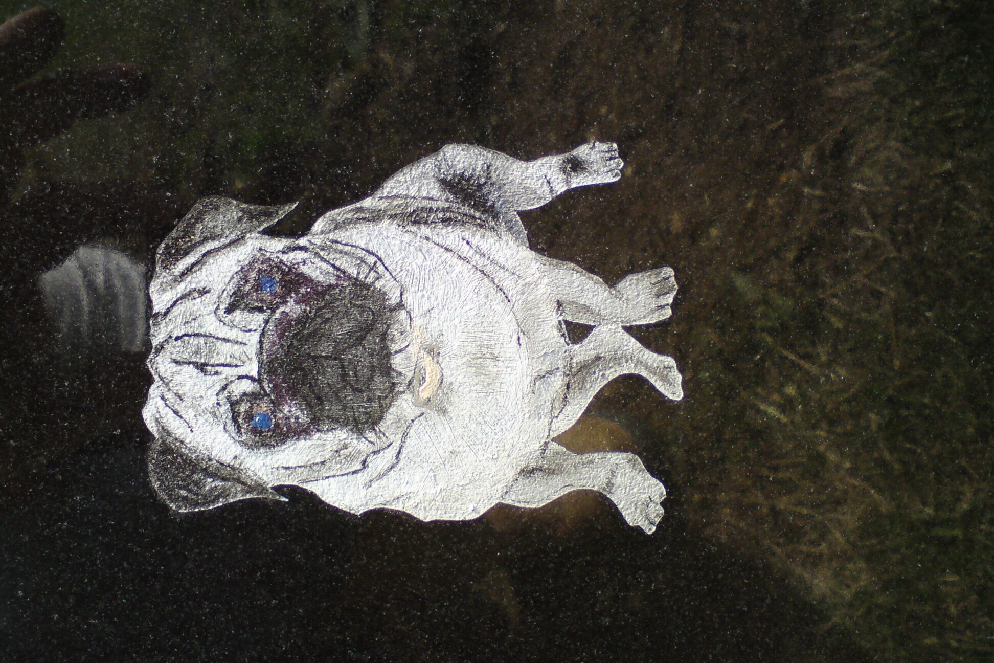 pug 2 e1654028254992