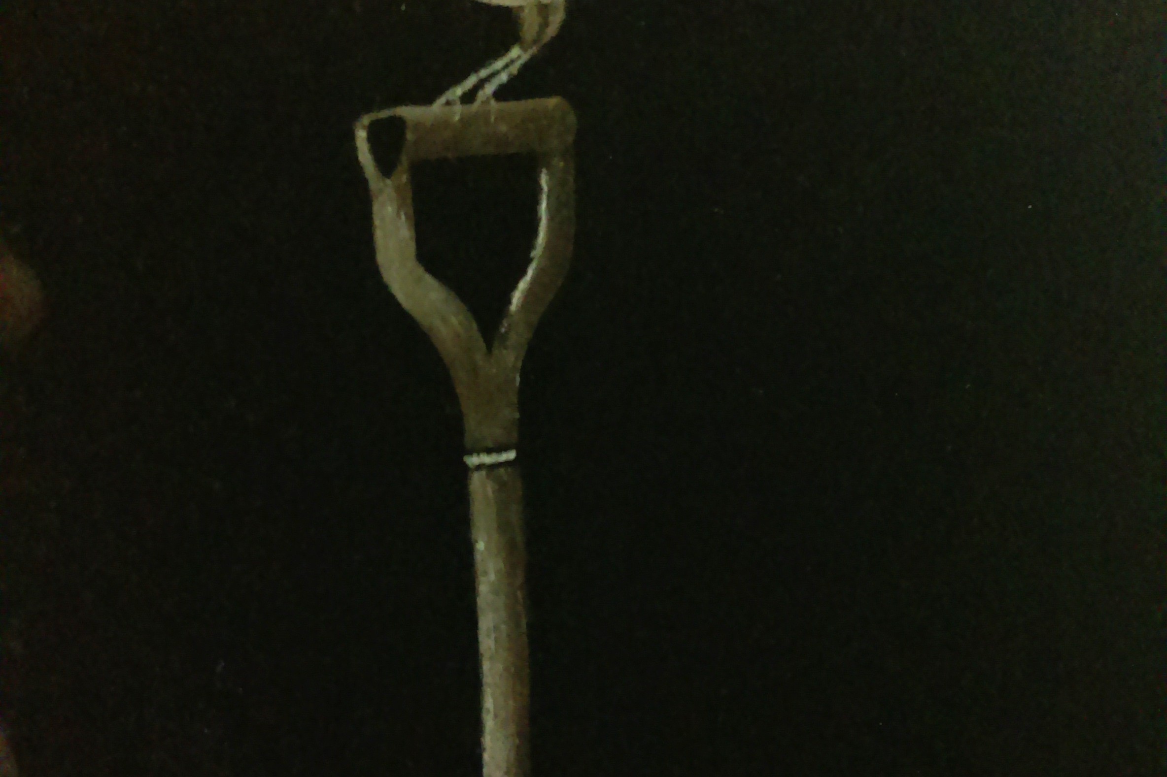IMAG0030