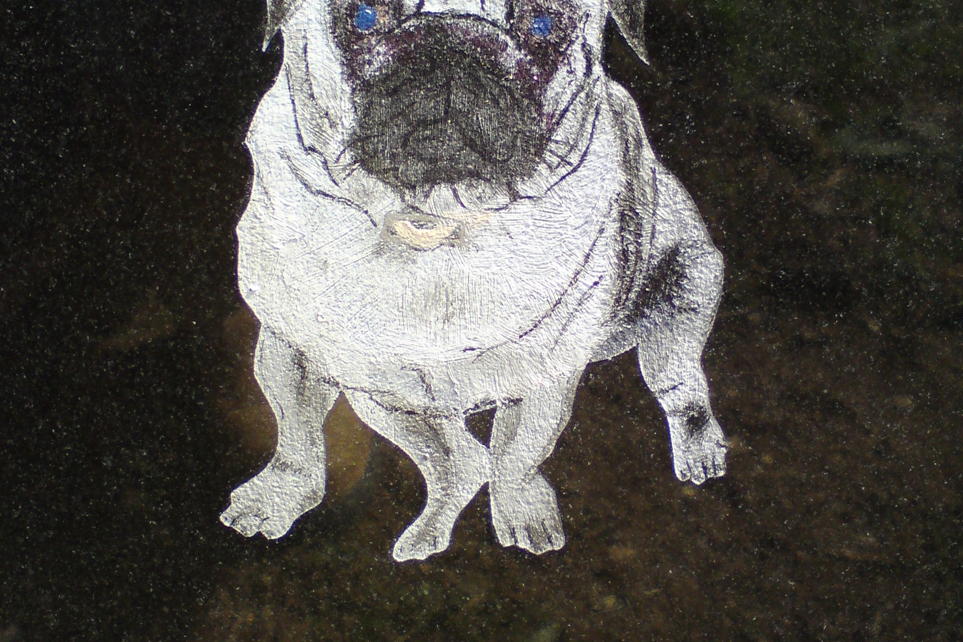 pug 2